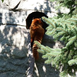 I've had enough of this goons watching me...