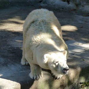 Come say that to my face...