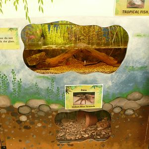 Folly Farm 7th October 2010