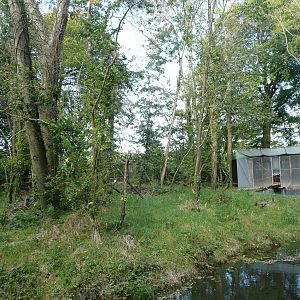 Siamang Island . 7th October 2010 .