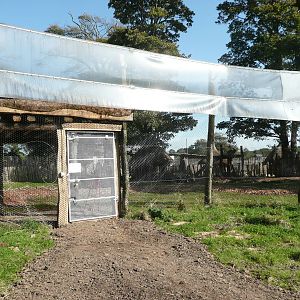 African Village . 7th October 2010 .