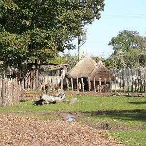 African Village . 7th October 2010 .