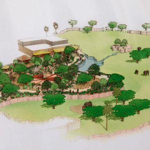 elephant plans 5 of 5