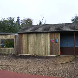 Refurbishment work at aviary annexe at Marwell Wildlife, 9 October 2010