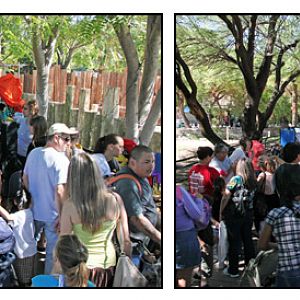 why zoos should not have free days