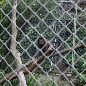 Ti Point Reptile Park