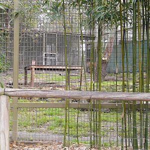 Tiger enclosure