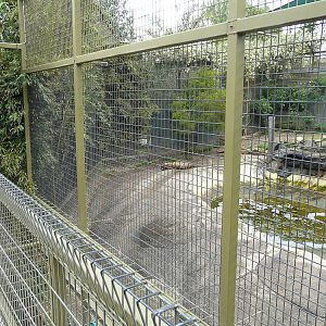 Tiger cage