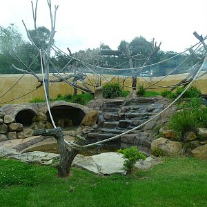 Chimpanzee enclosure