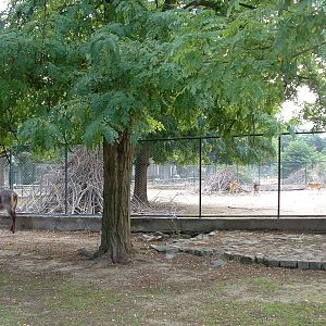 Napoli Zoo - Oct 2010
