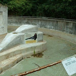 Napoli Zoo - Oct 2010