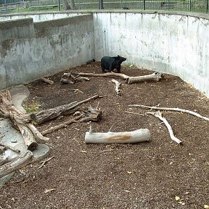 Napoli Zoo - Oct 2010
