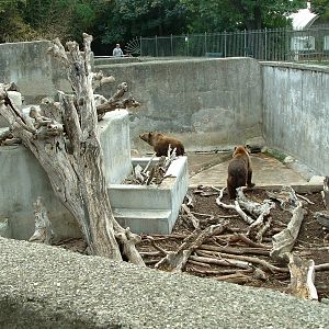 Napoli Zoo - Oct 2010
