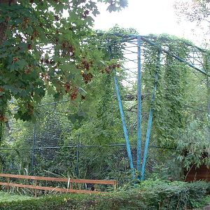 Napoli Zoo - Oct 2010