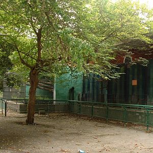 Napoli Zoo - Oct 2010