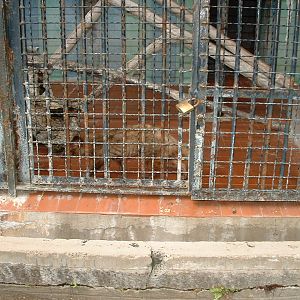 Napoli Zoo - Oct 2010