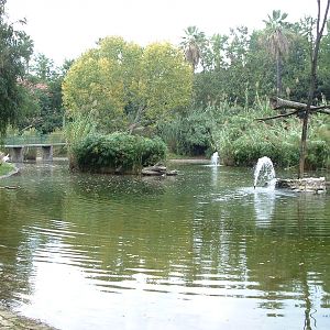 Napoli Zoo - Oct 2010