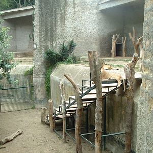 Napoli Zoo - Oct 2010