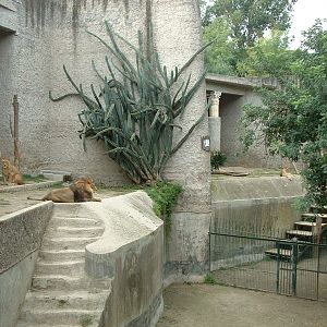 Napoli Zoo - Oct 2010