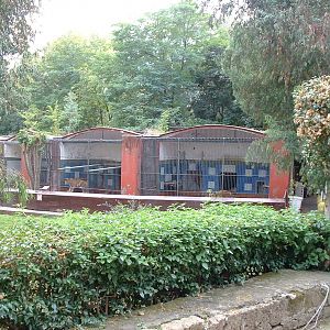 Napoli Zoo - Oct 2010