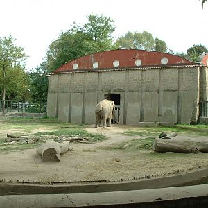 Napoli Zoo - Oct 2010