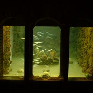 Anton Dohrn Aquarium - Napoli - Oct 2010