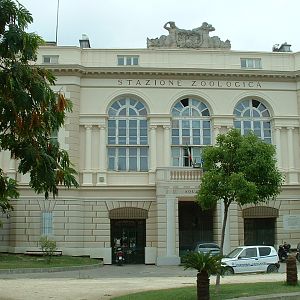 Anton Dohrn Aquarium - Napoli - Oct 2010
