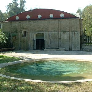 Napoli Zoo - Oct 2010