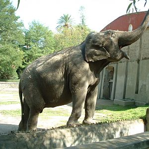 Napoli Zoo - Oct 2010