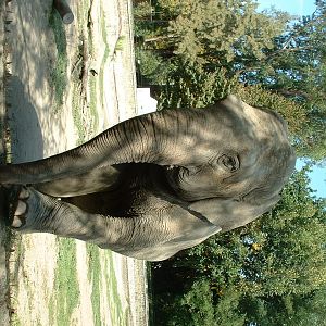 Napoli Zoo - Oct 2010