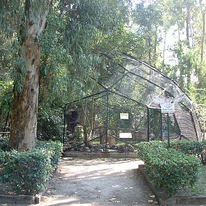 Napoli Zoo - Oct 2010