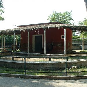 Napoli Zoo - Oct 2010