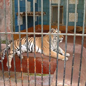 Napoli Zoo - Oct 2010