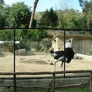 Napoli Zoo - Oct 2010
