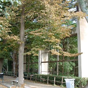 Napoli Zoo - Oct 2010