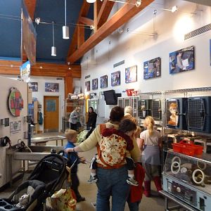 Vet Area for Children