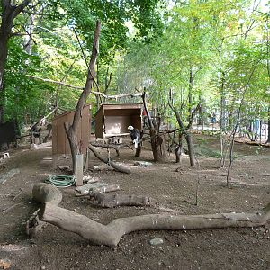 Genesee Trails: Bird Area