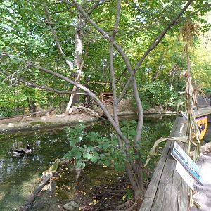 Genesee Trail: Bird Area