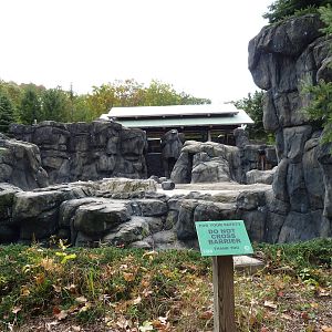 Polar Bear Exhibit