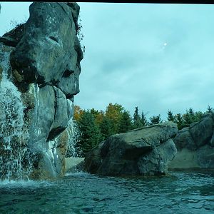 Waterfall in Polar Bear Exhibit