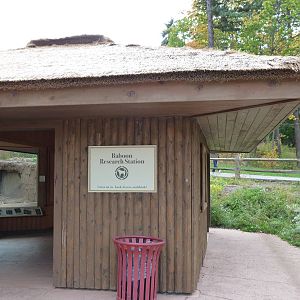 Baboon Research Center