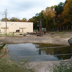 Elephant Exhibit