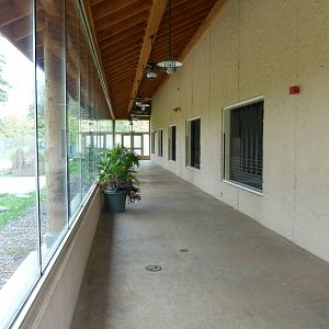 Visitor Area in Elephant Barn