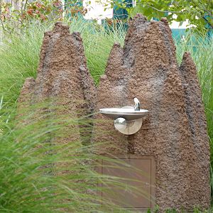 Termite Mound Fountain