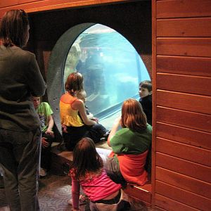 Scott Aquarium-Penguin Viewing Bubble