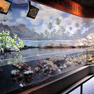 Scott Aquarium-Reed Exhibit