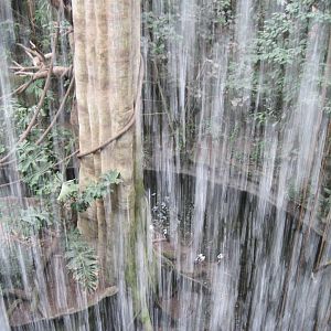 Lied Jungle-Waterfall