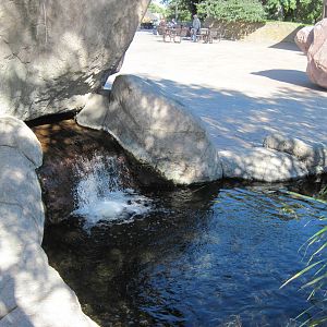 Water Feature