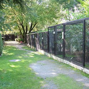 Aviaries at Heppenheim, 05/09/10