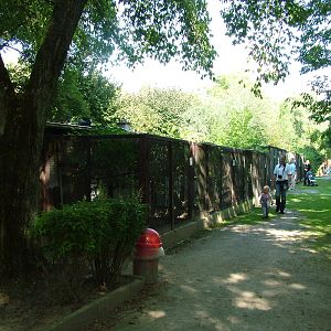 Aviaries at Heppenheim, 05/09/10